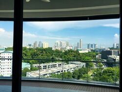111 Emerald Hill (D9), Apartment #518058091